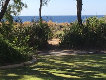 On The Shores Of Geographe Bay - Accommodation Tasmania 5
