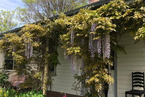 Clarence Cottage - Accommodation Tasmania 0