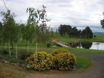 Buttercup Cottage & Private Apartment - Accommodation Tasmania 3