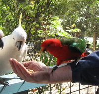 Lorne Bush House Cottages  Eco Retreats