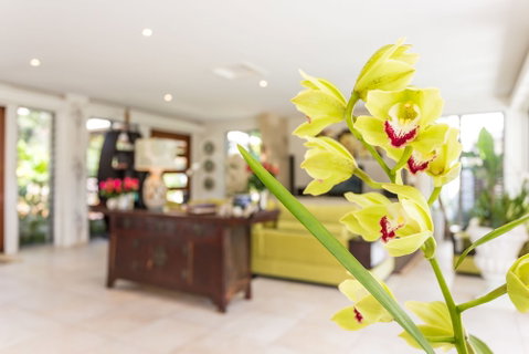 Alaya Verde - Accommodation Tasmania 1