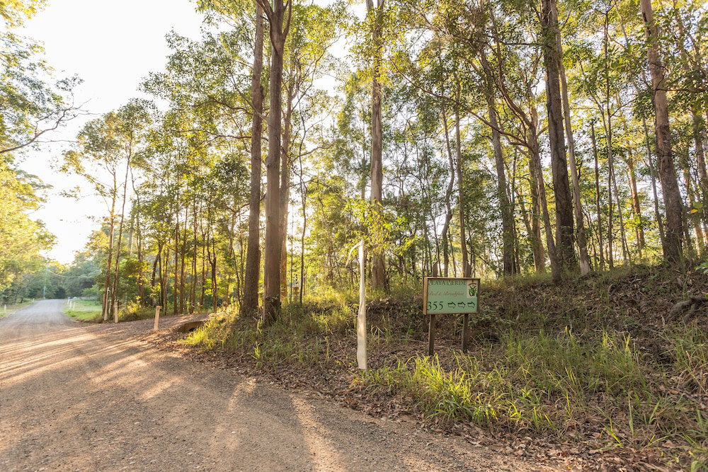 Ringtail Creek QLD Accommodation Tasmania