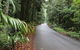 Chambers Wildlife Rainforest Lodges - thumb 2