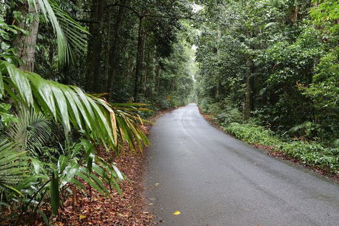 Chambers Wildlife Rainforest Lodges - Accommodation Tasmania 2