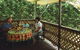 Chambers Wildlife Rainforest Lodges - thumb 6