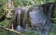 Chambers Wildlife Rainforest Lodges - thumb 1