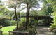 Chambers Wildlife Rainforest Lodges - thumb 3