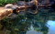 Atherton Holiday Park - thumb 4