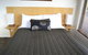 Loch Ard Motor Inn - thumb 7
