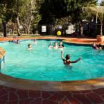 Rivergum Holiday Park - Accommodation Tasmania 0