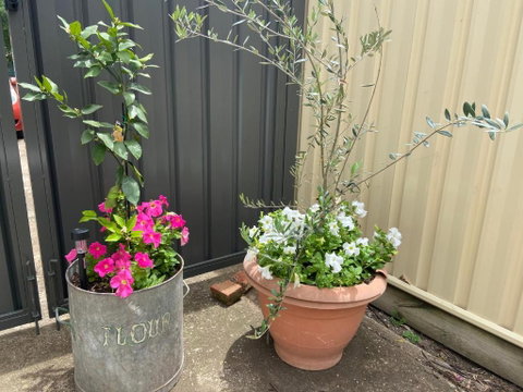 Bendigo Backpackers - Accommodation Tasmania 2