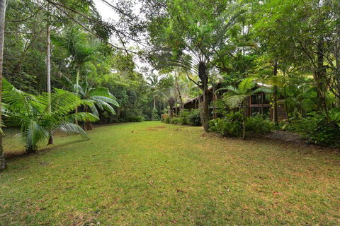 Wait A While Daintree - Accommodation Tasmania 1