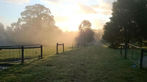 Carinya Park - Accommodation Tasmania 2