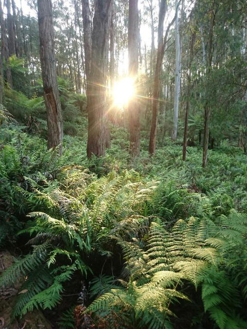 Carinya Park - Accommodation Tasmania 3