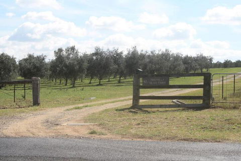 Trefolly Olive Cottage - Accommodation Tasmania 2