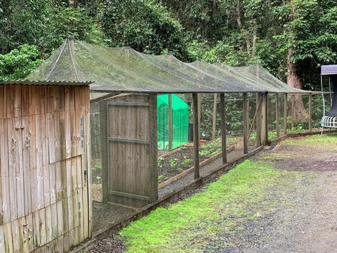 Figtree Getaway - Accommodation Tasmania 6