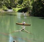 Figtree Getaway - Accommodation Tasmania