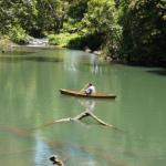 Figtree Getaway - Accommodation Tasmania 0