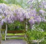 Amelina Cottages - Accommodation Tasmania