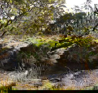 Green Gully House - Accommodation Tasmania