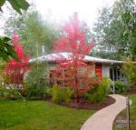 Dalrymples Guest Cottages - Accommodation Tasmania