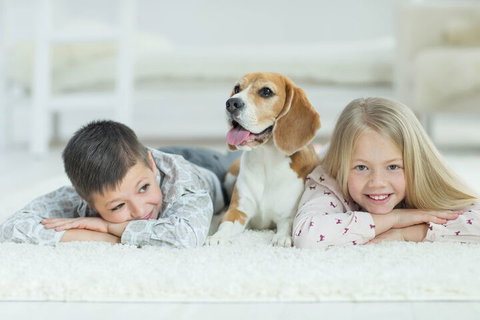 BOUTIQUE STAYS - Brighton Rose - Accommodation Tasmania 2