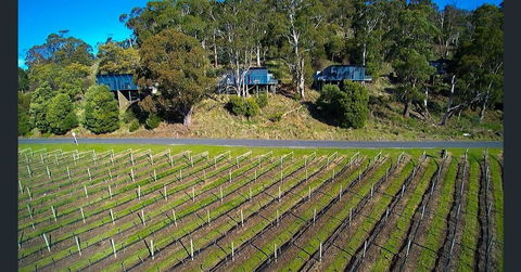 Armalong Winery Chalets - Accommodation Tasmania 1