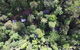 Crater Lakes Rainforest Cottages - thumb 0