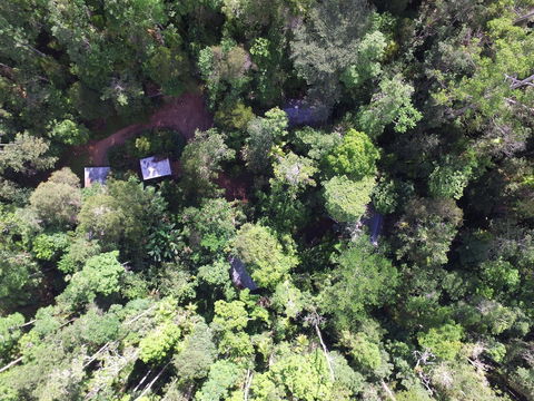 Crater Lakes Rainforest Cottages - Accommodation Tasmania 0
