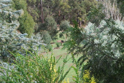 Riverwood Retreat - Accommodation Tasmania 4