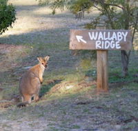 Wallaby Ridge Retreat - Accommodation Tasmania