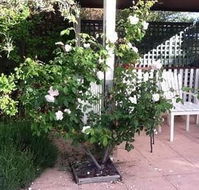 Ellesmere House - Accommodation Tasmania