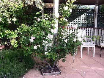 Ellesmere House - Accommodation Tasmania 0