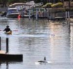 Sunsea Waterfront South Yunderup - Accommodation Tasmania