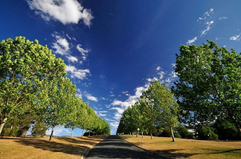 The Sebel Pinnacle Valley Resort - Accommodation Tasmania 1