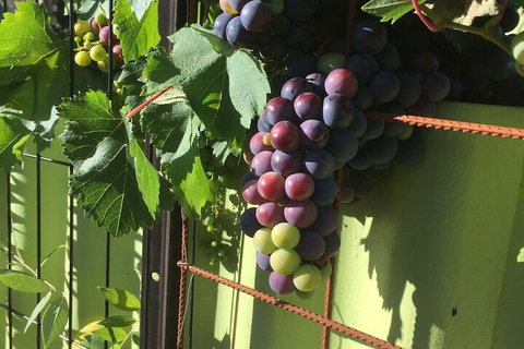 Bed & Breakfast In Perth - Accommodation Tasmania 2