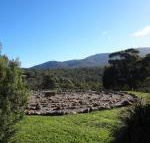 Hawksview at Mafeking - Accommodation Tasmania