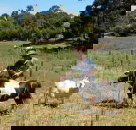Country Cottages of Bridgetown - Accommodation Tasmania
