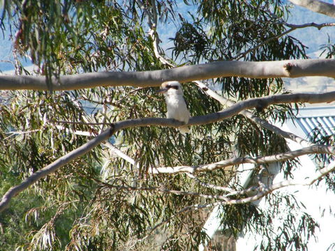 St Peters Fairview - Accommodation Tasmania 1