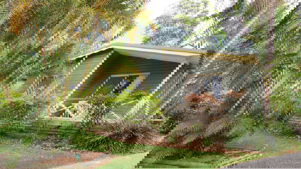 Arrawarra NSW Accommodation Tasmania
