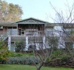 Sea Banksia - Accommodation Tasmania