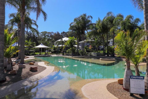 Dollarbird Treetops Townhouse - Accommodation Tasmania 1