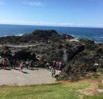 Sea Whispers - Accommodation Tasmania