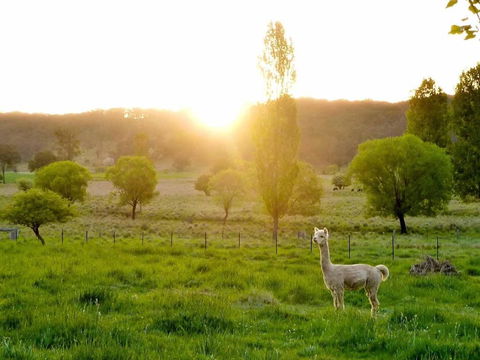 Glen Waverly Farmstay - Accommodation Tasmania 6