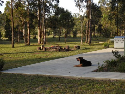 Wallaby Cottage Cute Accom In Bushland Setting - Accommodation Tasmania 3
