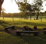 Wallaby Cottage cute Accom in bushland setting - Accommodation Tasmania