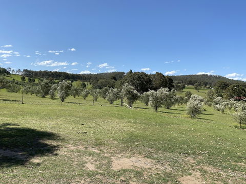 Hunter Homestead - Accommodation Tasmania 0