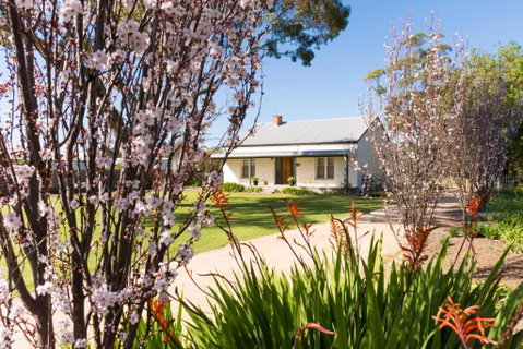 20 Hill Avenue Bed & Breakfast - Accommodation Tasmania 3