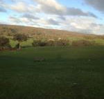 Mancuso Country Cottage Retreat - Accommodation Tasmania