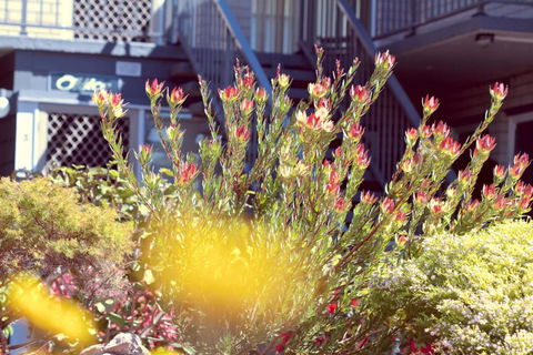 The Sands Holiday Apartments - Accommodation Tasmania 4